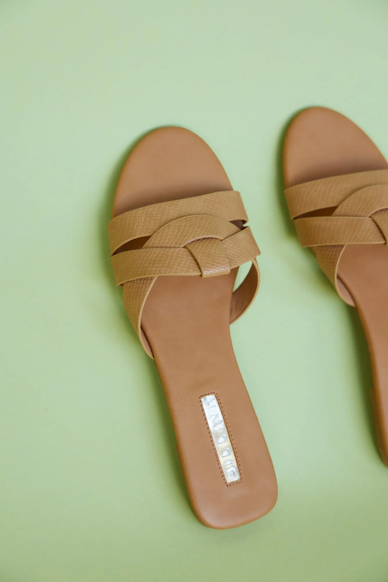BILLINI Peppa Slides Desert Lizard